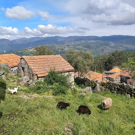 Casa Da Fraga- Em Aldeia Preservada E Tranquila Semesterbostad *