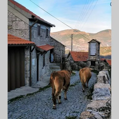 Casa Da Fraga- Em Aldeia Preservada E Tranquila Semesterbostad